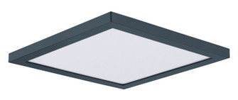 Chip LED Flush Mount in Black (16|57699WTBK)