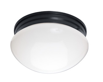 Essentials - 588x Two Light Flush Mount in Black (16|5881WTBK)