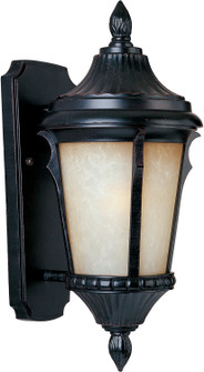 Odessa LED E26 LED Outdoor Wall Sconce in Espresso (16|65013LTES)