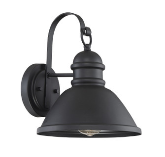Moutd One Light Outdoor Wall Lantern in Matte Black (446|M50016BK)