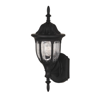 One Light Outdoor Wall Lantern in Black (446|M50057BK)