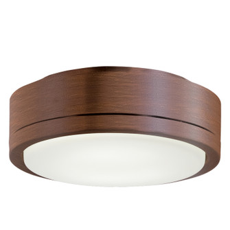 Rudolph LED Light Kit in Distressed Koa (15|K9727L-DK)