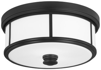 Harbour Point Two Light Ceiling Mount in Coal (7|4365-66A)