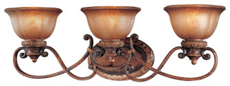 Illuminati Three Light Bath in Illuminati Bronze (7|6353-177)