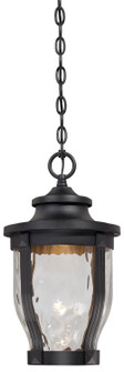 Merrimack LED Outdoor Chain Hung in Black (7|8764-66-L)