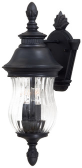 Newport Two Light Wall Mount in Heritage (7|8905-94)