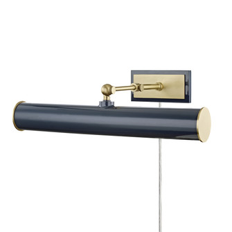 Holly Two Light Picture Light in Aged Brass/Navy (428|HL263202-AGB/NVY)