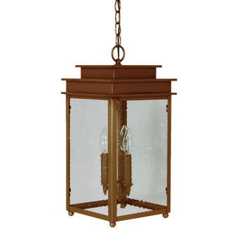 Ellis Hanging Lantern in Antique Brass (196|10722-AB-LT3-CSG)