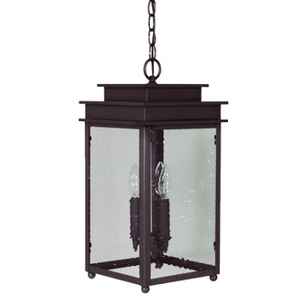 Ellis Three Light Hanging Lantern in Dark Brass (196|10722-DB-LT3-CSG)