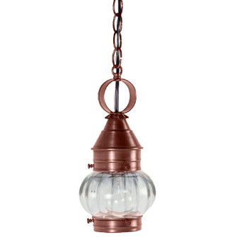 Cageless One Light Hanging Lantern in Antique Copper (196|2012-AC-MED-OPT)