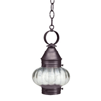 Cageless One Light Hanging Lantern in Dark Brass (196|2022-DB-MED-OPT)