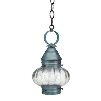 Cageless One Light Hanging Lantern in Verdi Gris (196|2022-VG-MED-OPT)