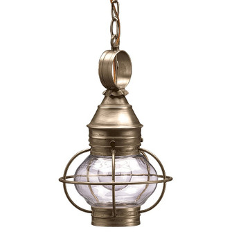 Onion One Light Hanging Lantern in Dark Antique Brass (196|2512-DAB-MED-CLR)