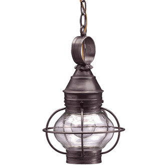 Onion One Light Hanging Lantern in Dark Brass (196|2512-DB-MED-CLR)