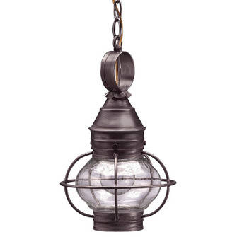 Onion One Light Hanging Lantern in Dark Brass (196|2512-DB-MED-CSG)