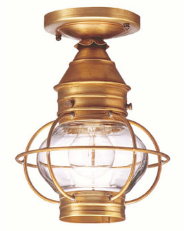 Onion One Light Flush Mount in Antique Brass (196|2514-AB-MED-CLR)