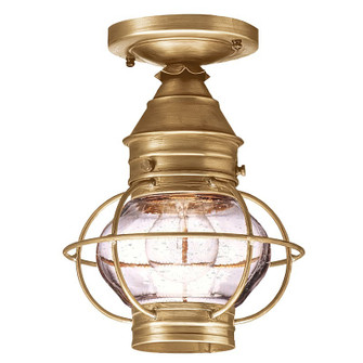 Onion One Light Flush Mount in Antique Brass (196|2514-AB-MED-CSG)