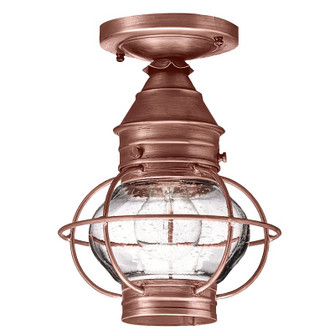 Onion One Light Flush Mount in Antique Copper (196|2514-AC-MED-CSG)