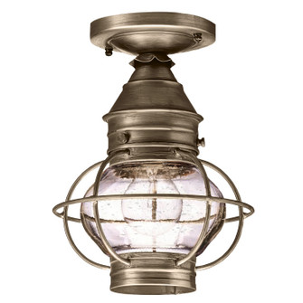 Onion One Light Flush Mount in Dark Antique Brass (196|2514-DAB-MED-CSG)