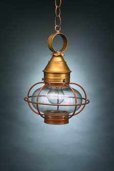 Onion One Light Hanging Lantern in Antique Brass (196|2522-AB-MED-CLR)
