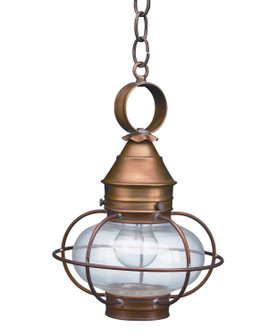 Onion One Light Hanging Lantern in Antique Brass (196|2522-AB-MED-CLR)