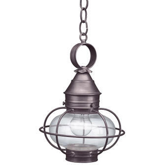 Onion One Light Hanging Lantern in Dark Brass (196|2522-DB-MED-CLR)