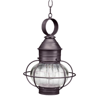 Onion One Light Hanging Lantern in Dark Brass (196|2532-DB-MED-OPT)