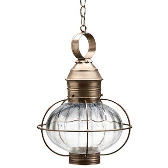 Onion One Light Hanging Lantern in Dark Antique Brass (196|2542-DAB-MED-OPT)