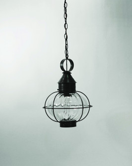 Onion One Light Hanging Lantern in Dark Brass (196|2542-DB-MED-OPT)
