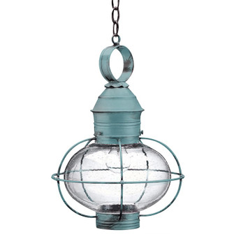 Onion One Light Hanging Lantern in Verdi Gris (196|2542-VG-MED-CSG)