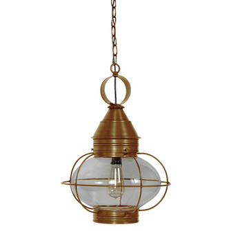 Onion One Light Hanging Lantern in Antique Brass (196|2572-AB-MED-CLR)