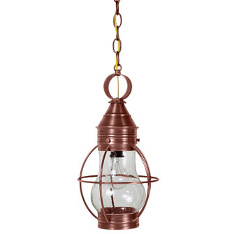 Bosc One Light Hanging Lantern in Antique Copper (196|2722-AC-MED-CSG)