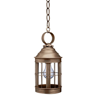 Heal One Light Hanging Lantern in Dark Antique Brass (196|3312-DAB-MED-CLR)