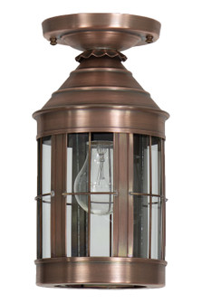 Heal One Light Flush Mount in Antique Copper (196|3314-AC-MED-CLR)