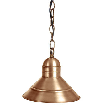 Barn One Light Hanging Lantern in Antique Brass (196|3422-AB-MED)
