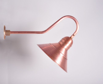 Barn One Light Wall Mount in Antique Copper (196|3449-AC-MED)