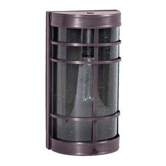 Nautical One Light Wall Lantern in Dark Brass (196|351B-DB-MED-CSG)