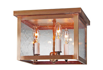 Flush Three Light Flush Mount in Antique Brass (196|4904-AB-LT3-CSG)