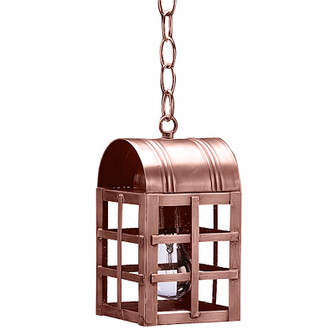 Adams One Light Hanging Lantern in Antique Copper (196|6112-AC-MED-CSG)