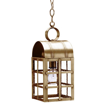 Adams One Light Hanging Lantern in Antique Brass (196|6132-AB-MED-SMG)