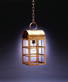 Adams One Light Hanging Lantern in Antique Brass (196|6142-AB-MED-CLR)