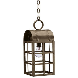 Adams One Light Hanging Lantern in Dark Antique Brass (196|6142-DAB-MED-CSG)