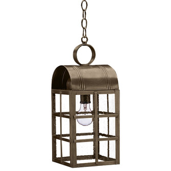 Adams One Light Hanging Lantern in Dark Antique Brass (196|6142-DAB-MED-SMG)