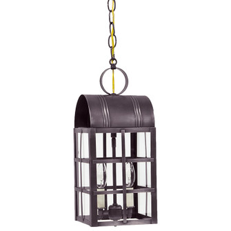 Adams Two Light Hanging Lantern in Dark Brass (196|6142-DB-LT2-CLR)