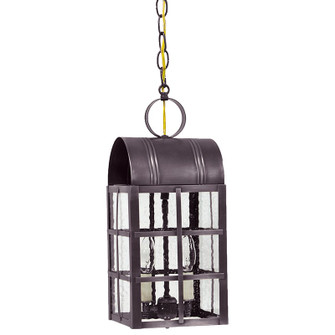 Adams Two Light Hanging Lantern in Dark Brass (196|6142-DB-LT2-SMG)