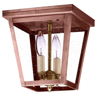 Flush Two Light Flush Mount in Antique Copper (196|7324-AC-LT2-CSG)