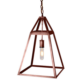 Foyer One Light Hanging Lantern in Antique Copper (196|9722-AC-MED-NG)