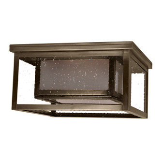 Flush Two Light Flush Mount in Dark Antique Brass (196|SC1212-DAB-MED2-FST-CSG)