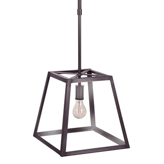 Foyer One Light Hanging Lantern in Dark Brass (196|ST0812-DB-MED-CLR)