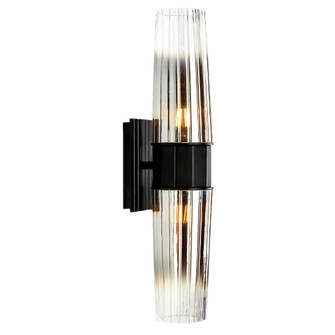 Icycle Two Light Wall Sconce in Matte Black (185|9759-MB-CLGR)